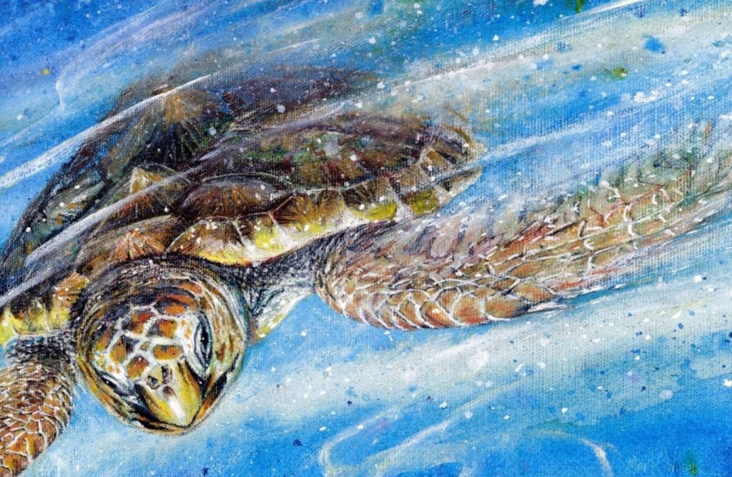 sea turtle migration journey